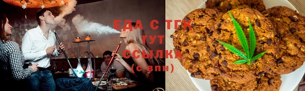 стаф Ельня